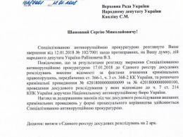 САП открыла дело о незаконном обогащении нардепа Рабиновича