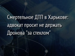 Смертельное ДТП в Харькове: адвокат просит не держать Дронова "за стеклом"