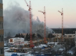 Пожар в Московской области: люди прыгали из окон пятиэтажки, есть жертвы