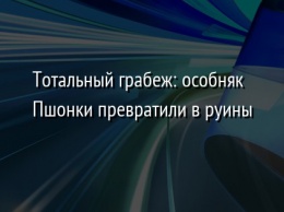 Тотальный грабеж: особняк Пшонки превратили в руины