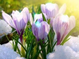 Когда в Украину придет настоящая весна