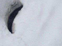 В Харькове девушка провалилась под люк, заваленный снегом