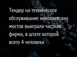 Тендер на техническое обслуживание николаевских мостов выиграла частная фирма, в штате которой всего 4 человека