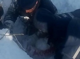 На Харьковщине спасатели вытащили ребенка из-под снежного завала (ФОТО)