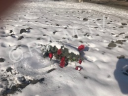 Курьезы. Цветы для Ленина в Мелитополе несут круглый год (фото)