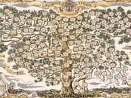 Генетики построили самое большое генеалогическое древо из 13 миллионов человек