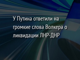 У Путина ответили на громкие слова Волкера о ликвидации ЛНР-ДНР