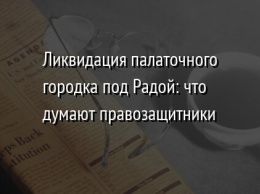 Ликвидация палаточного городка под Радой: что думают правозащитники