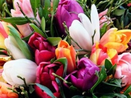 Во сколько николаевцам обойдутся цветы в преддверии 8 марта