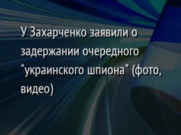 У Захарченко заявили о задержании очередного "украинского шпиона" (фото, видео)