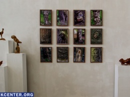 В музее им. Шовкуненко открылась выставка "Подсказки природы"