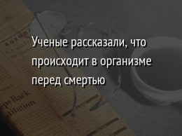 Ученые рассказали, что происходит в организме перед смертью