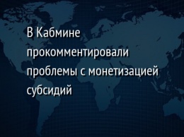 В Кабмине прокомментировали проблемы с монетизацией субсидий