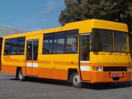В Мариуполе чиновница пыталась скрыть от декларирования 22 автобуса