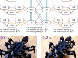 Предложена новая методика построения паттернов движения у роботов