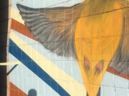 В центре Мариуполя готова вылететь на свободу канарейка (ФОТО, ВИДЕО)