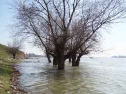 На уровне воды в Дунае талый снег в целом не сказался