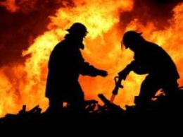 Пожары в Украине за прошедшую неделю унесли жизни 43 человек