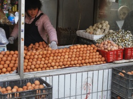 На украинском рынке яиц нет олигополии, - АМКУ