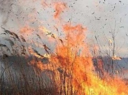Бердянские спасатели дважды за день выезжали на пожар в экосистеме
