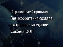 Отравление Скрипаля: Великобритания созвала экстренное заседание Совбеза ООН