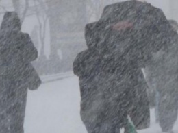В Чернигов возвращается зима: на выходных будет минус 10 и снег