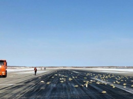 В Якутии из самолета выпало 9 тонн золота. Скорее всего, кто-то просто перепил