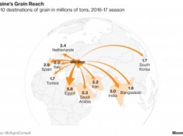 Названы Топ-10 импортеров украинского зерна в 2016/2017 маркетинговом году (инфографика)