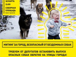 Николаевцы выйдут на митинг с требованием к горсовету не отпускать отловленных бездомных псов обратно на улицы