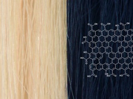 Физики превратили графен в угольно-черную краску для волос