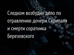 Следком возбудил дело по отравлению дочери Скрипаля и смерти соратника Березовского