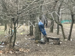В Запорожской области в парке повесился мужчина