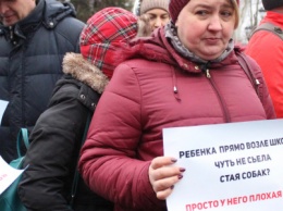 В Николаеве прошел митинг посвящен борьбе с бездомными собаками, - ФОТО