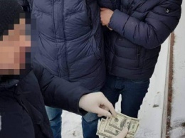 Двое таможенников "Борисполя" попались на взятке (ФОТО)