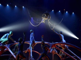 Артист цирка насмерть разбился во время выступления