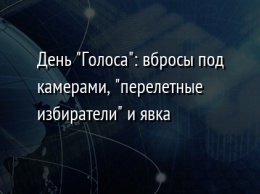 День "Голоса": вбросы под камерами, "перелетные избиратели" и явка