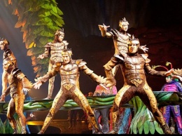Акробат Cirque du Soleil погиб во время выступления
