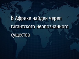 В Африке найден череп гигантского неопознанного существа