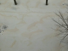 "У***пы что-то ночью распылили", - оккупированный Луганск засыпало странным желтым снегом - испуганные пользователи соцсетей показали кадры