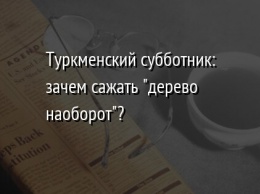 Туркменский субботник: зачем сажать "дерево наоборот"?