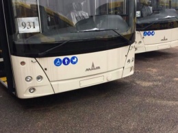 Из-за нехватки троллейбусов на маршрут до Набережной пустят дополнительные автобусы
