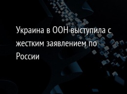 Украина в ООН выступила с жестким заявлением по России