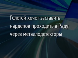 Гелетей хочет заставить нардепов проходить в Раду через металлодетекторы