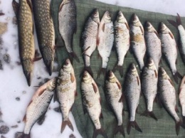 На Херсонщине браконьер нанес ущерб рыбному хозяйству на сумму более 2 тысяч гривен