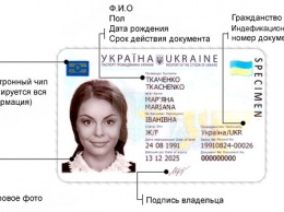 Что такое ID-паспорт и как его оформить в Бердянске?