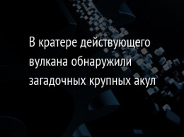 В кратере действующего вулкана обнаружили загадочных крупных акул