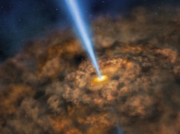 Астрономы из МГУ назвали новую черную дыру в честь Стивена Хокинга