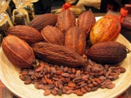 Бурный рост спроса на шоколад поднял цену какао-бобов на 30% с начала года