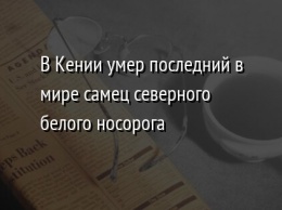 В Кении умер последний в мире самец северного белого носорога