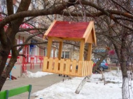 «Не скупитесь на добро»: жителей Черноморска призывают подкормить птиц в зимнюю стужу
